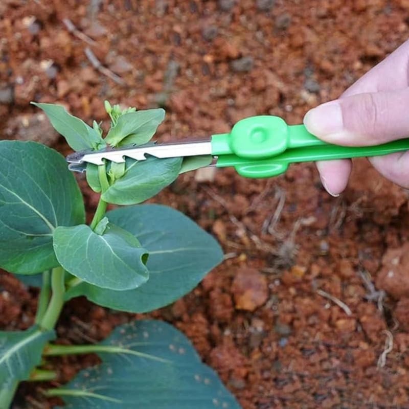 CAXUSD Gardening Tweezers Lightweight Portable Planting Tool for Succulents and Bonsai Precise Weed Removal and Home Garden Care Tool - Image 5